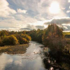 River Tees