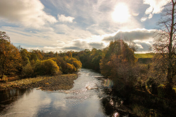 River Tees