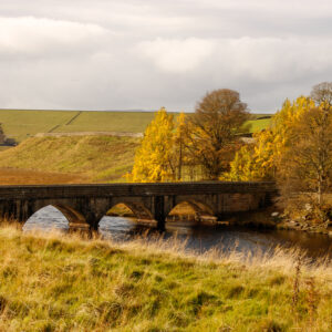 Bridge